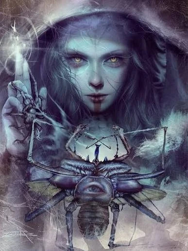 We Don't Kill Spiders #1 Card Stock Virgin